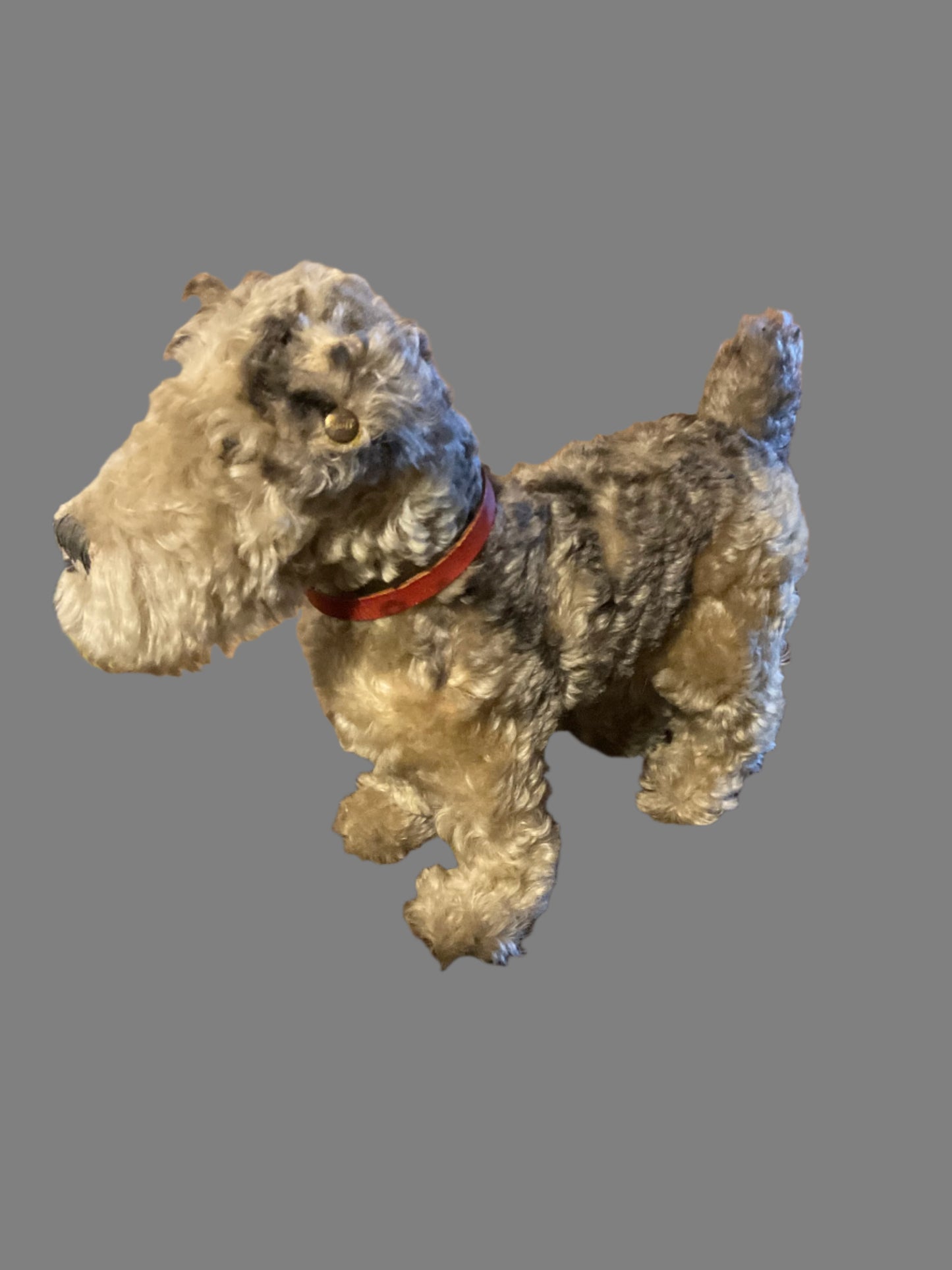 DUDLEY Steiff Airedale Terrier with button